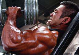 HidetadaYamagishi_MD_PerBerbak_474.jpg