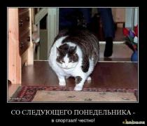 1307253633_demotivatiry_51.jpg