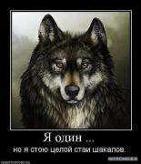 x_e30a488d.jpg