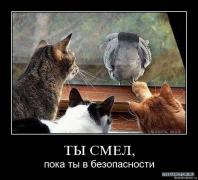 x_b15494e6.jpg