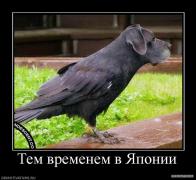 670294_tem_vremenem_v_yaponii.jpg