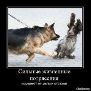 1309066327_demotivatory_04.jpg