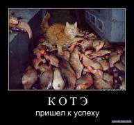 котэ.jpg