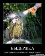 x_118124c0.jpg