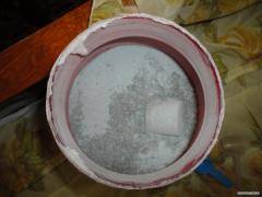 DSC00252.JPG