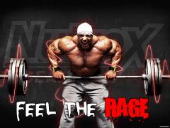 feel_the_rage_1600x1200.jpg