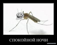 x_edb5d71b.jpg