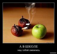 y_98925a4e.jpg