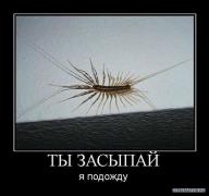x_250347f6.jpg