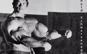 arnold_schwarzenegger_bodybuilder_actor_1440x900.jpg
