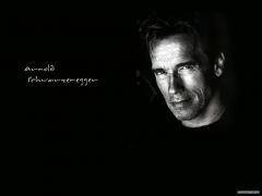 p2_89_wallpaper_arnold_schwarzenegger.jpg