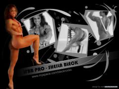 Sheila_Bleck_Desktop_Wallpaper_1024x768_female_muscle_free.jpg