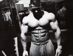 the_animal_frank_mcgrath.jpg