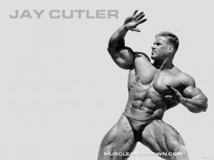Jay_Cutler_Wallpaper.jpg