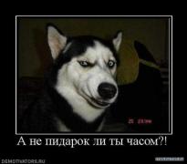 23715287_6.jpeg