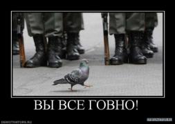 23715290_6.jpeg