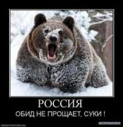41826776_6.jpeg