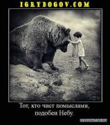 41826985_6.jpeg