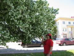 IMG_9857.jpg