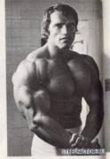 Arnold_20Schwarzenegger_13947.jpg