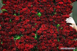 u70_130254.jpg