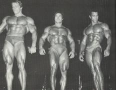 a-few-pics-of-arnold_3512.jpg