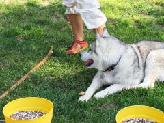 IMG_1663sm.jpg