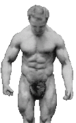 pandour8.gif