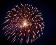 DSC09952 1280x768.jpg