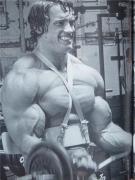 Bodybuilding-Arnold-Schwarzenegger-1975-avec-un-support-special.jpg