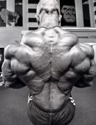 MichaelKefalianos-MD-Jul12-PerBernal-638.jpg