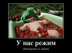 15777556_u-nas-rezhim.png