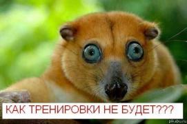 x_7188436b.jpg