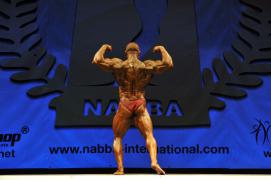 osb_0563-custom.jpg