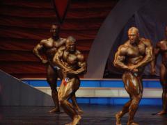 Эвро Элит 2006.jpg