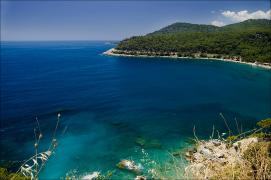 DSC_0910-m.jpg