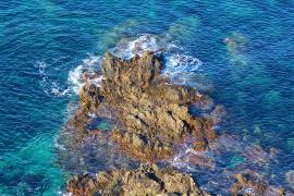 IMG_1417.JPG