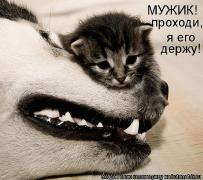 getImageЬ.jpeg