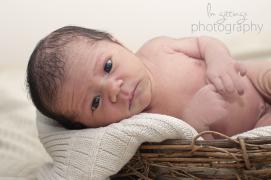 Newborn Looking web.jpg