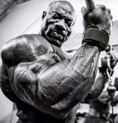 DexterJackson-MD-Aug13-PerBernal-918.jpg