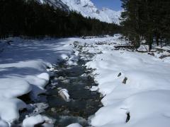 DSCN2689.JPG