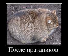 1368520617_006.jpg