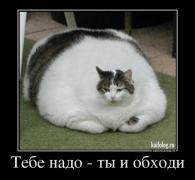 1369750941_011.jpg