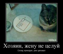 1371539697_015.jpg