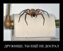 1368520628_039_2.jpg