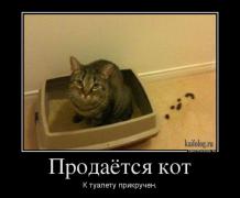 1368520639_021_2.jpg