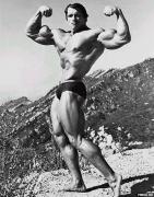 arnold-schwarzenegger-08.jpg