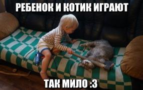 yumora-nemnogo-kartinki-smeshnye-kartinki-fotoprikoly_3069297441.jpg