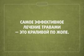 yumora-nemnogo-kartinki-smeshnye-kartinki-fotoprikoly_326158148.jpg