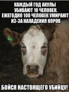 yumora-nemnogo-kartinki-smeshnye-kartinki-fotoprikoly_2840242262.jpeg